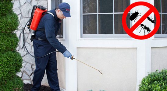 Özkanlar Gümüşkurt İlaçlama böcek ilaçlama ve haşere kontrolü — ilaclama-tr.com